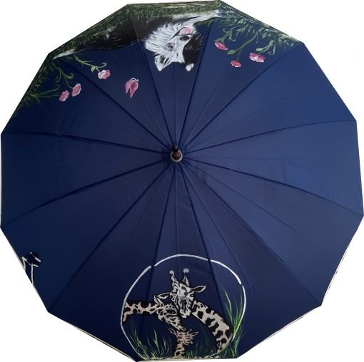 BODER COLLIE - Imagen 2